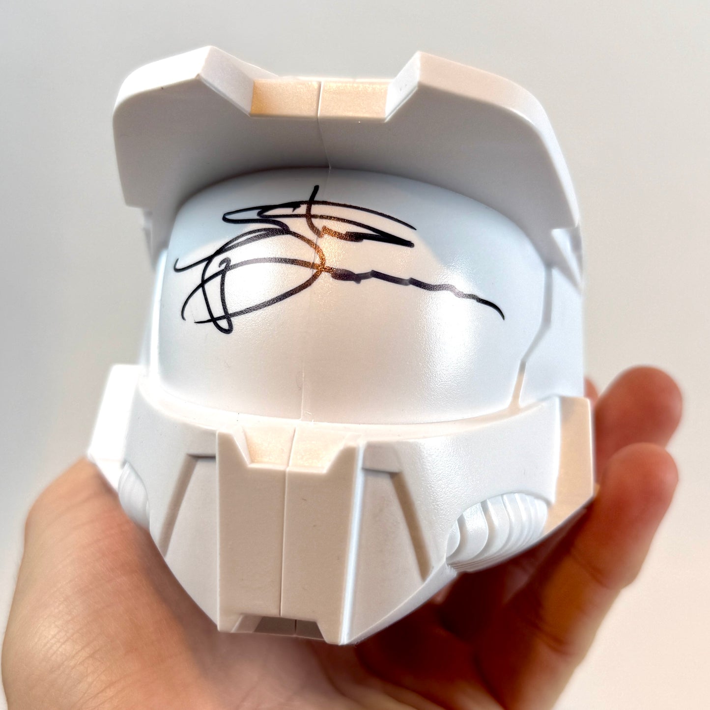 1/1 Signed Steve Downes HaloFest Exclusive Master Chief Helmet.