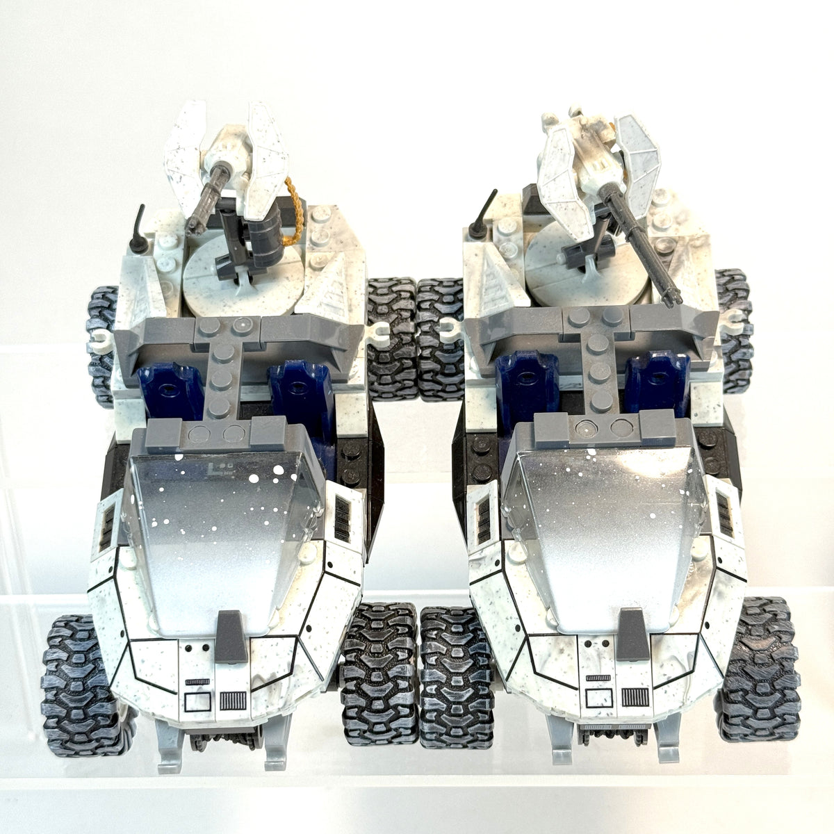 Hyper Rare CTF RVB Arctic Warthog Duo!